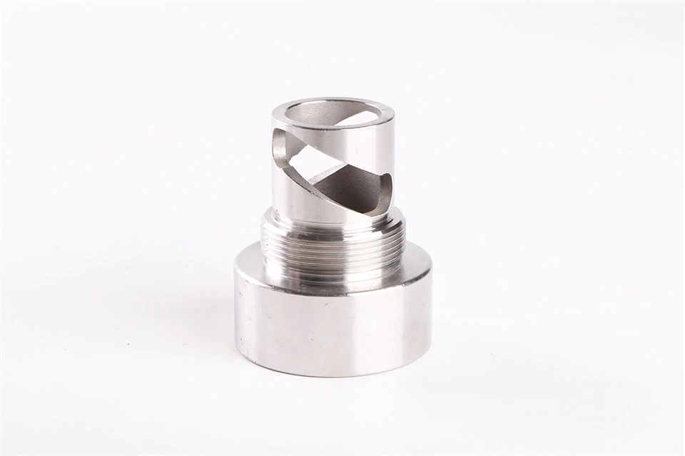 Spiral Shell